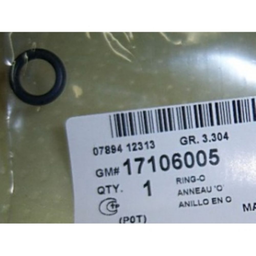 Product Code : 17106005 - Chevrolet Aveo Injector Gasket GM Genuine 17106005