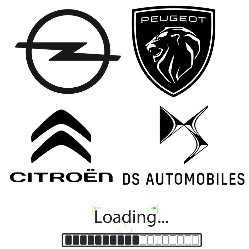 Product Code : 9926.RF - Peugeot, Citroen Group Key Tip Coded PSA Genuine 9926.Rf