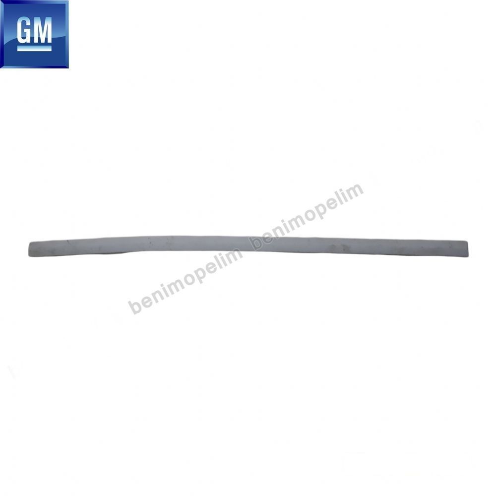 Product Code : 5171074 - Opel Vectra C Right Front Door Moulding GM Genuine 5171074 - 13101654