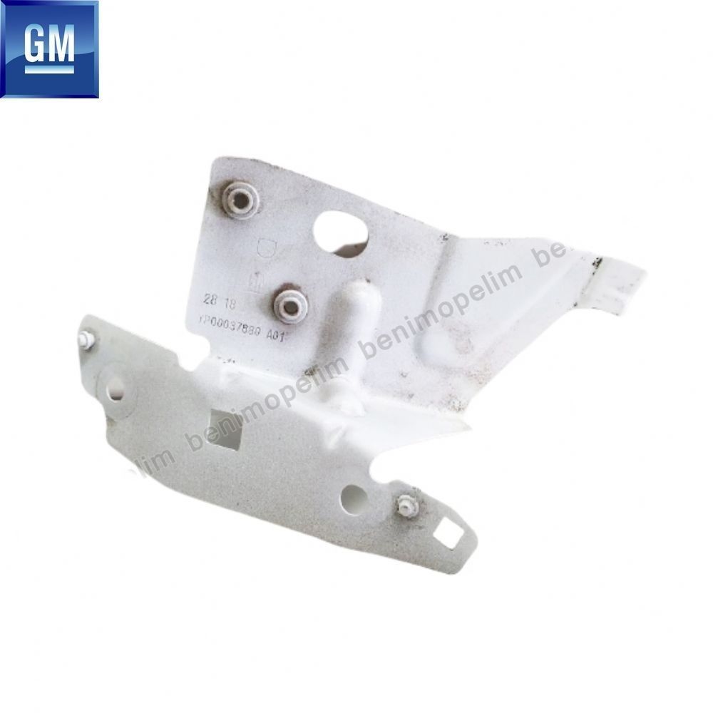 Product Code : 3647242 - Opel Grandland X Right Front Fender Sheet Plate GM Original 3647242 - YP00037880