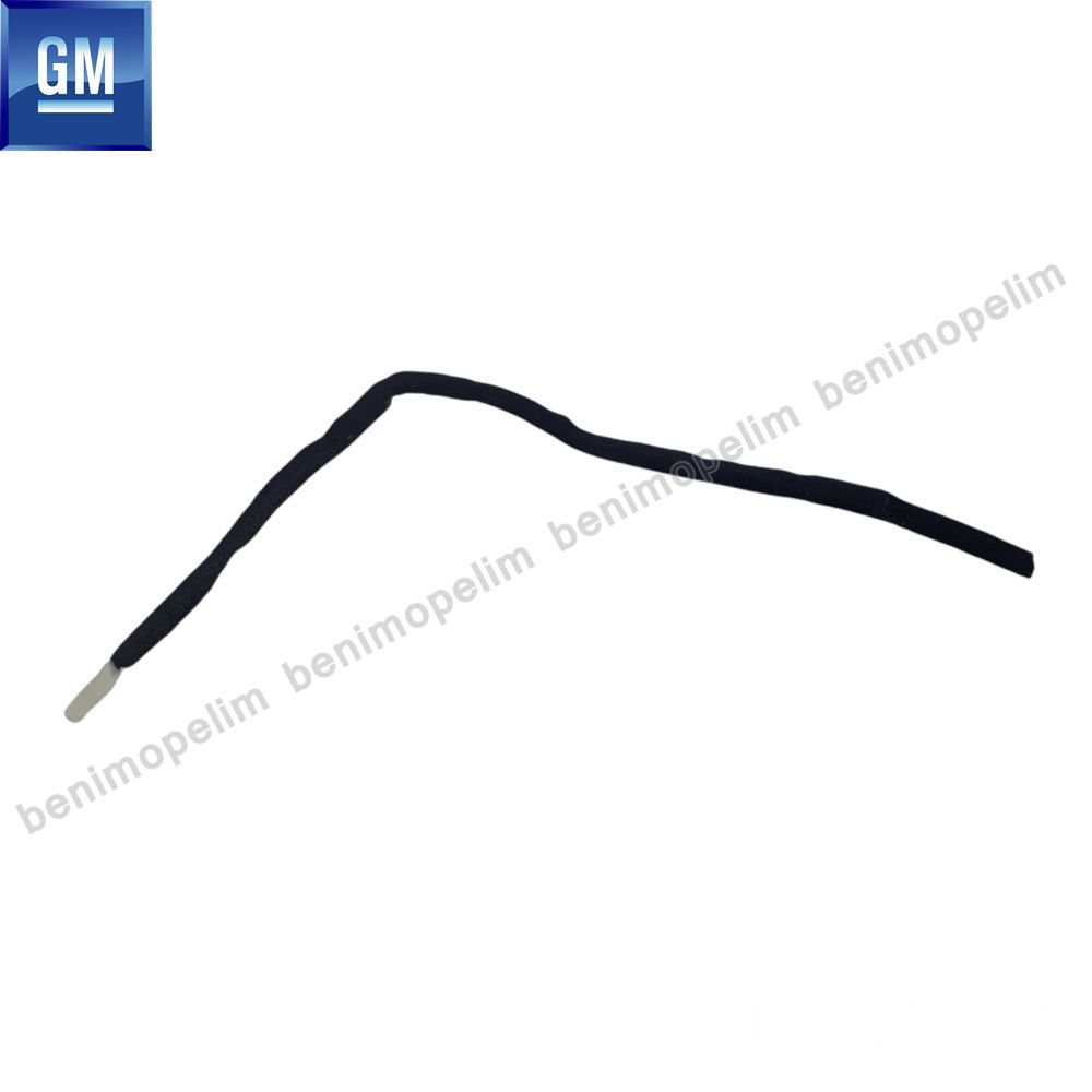 Product Code : 96460033 - Chevrolet Rezzo Rear Window Seal Small GM Original 96460033