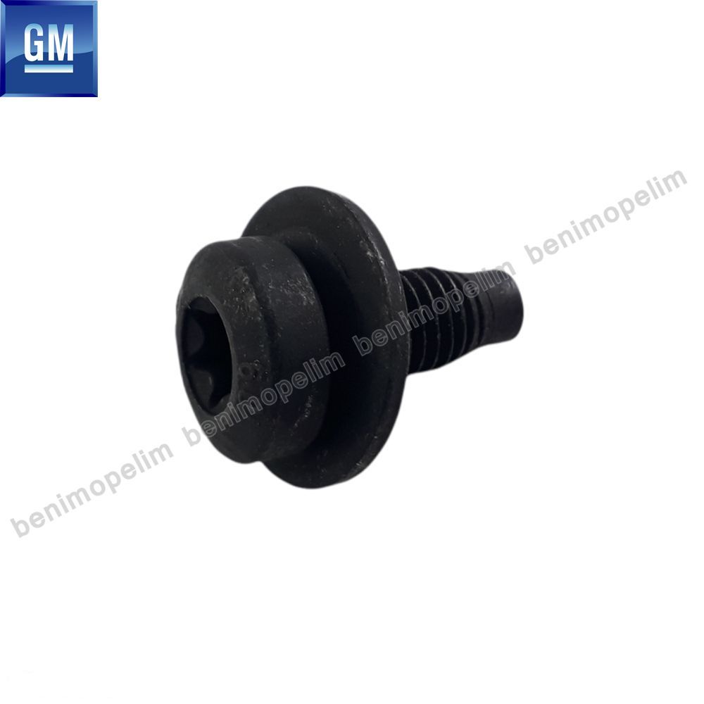 Product Code : 2034008 - Opel Combo C, Vivaro B, Renault Trafic 2 Sliding Door Screw Torx M8X20 GM Genuine 2034008 - 11102141