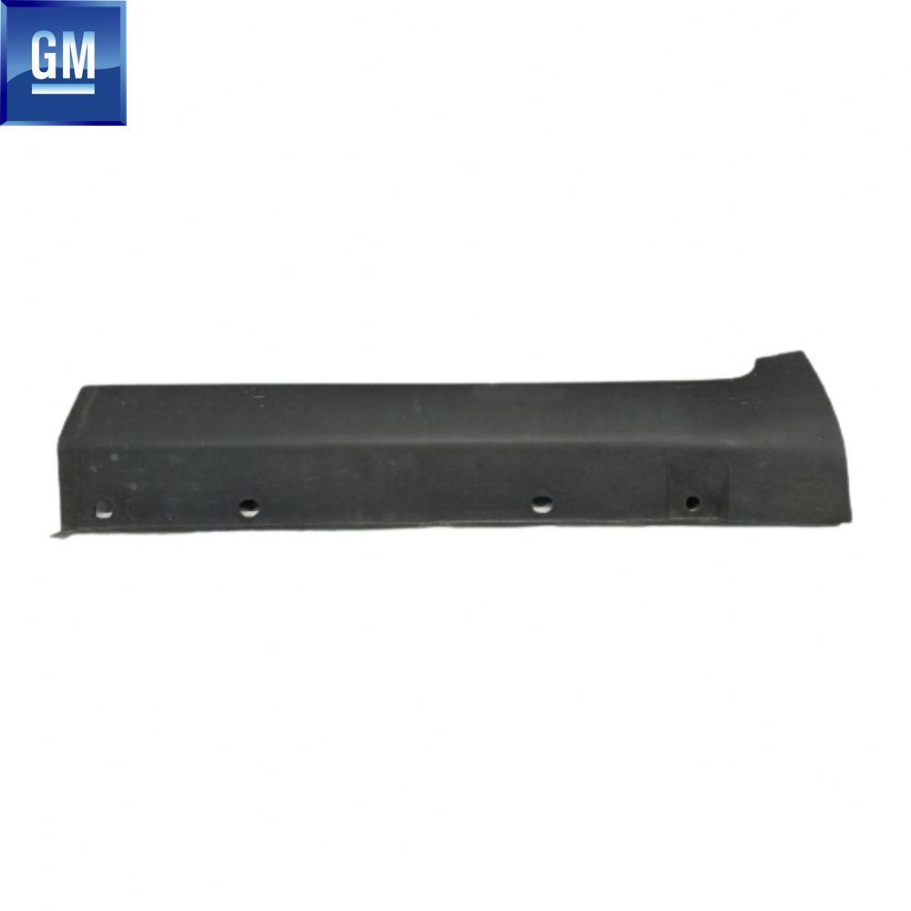 Chevrolet Captiva Left Rear Door Lower Band (Skirt Bagalite) GM Genuine 96804215