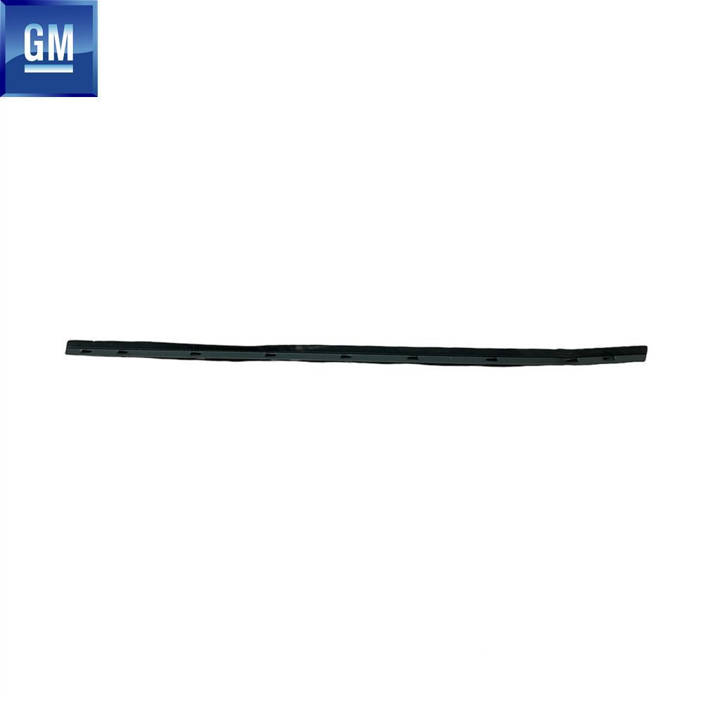 Product Code : 96556293 - Chevrolet Lacetti Left Front Door Window Inner Seal GM Original 96556293