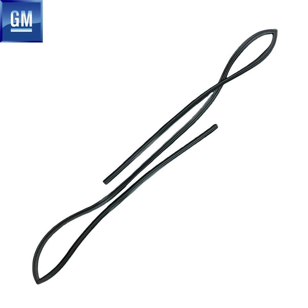 Opel Antara, Chevrolet Captiva Windscreen Seal GM Original 4808063 - 96622306