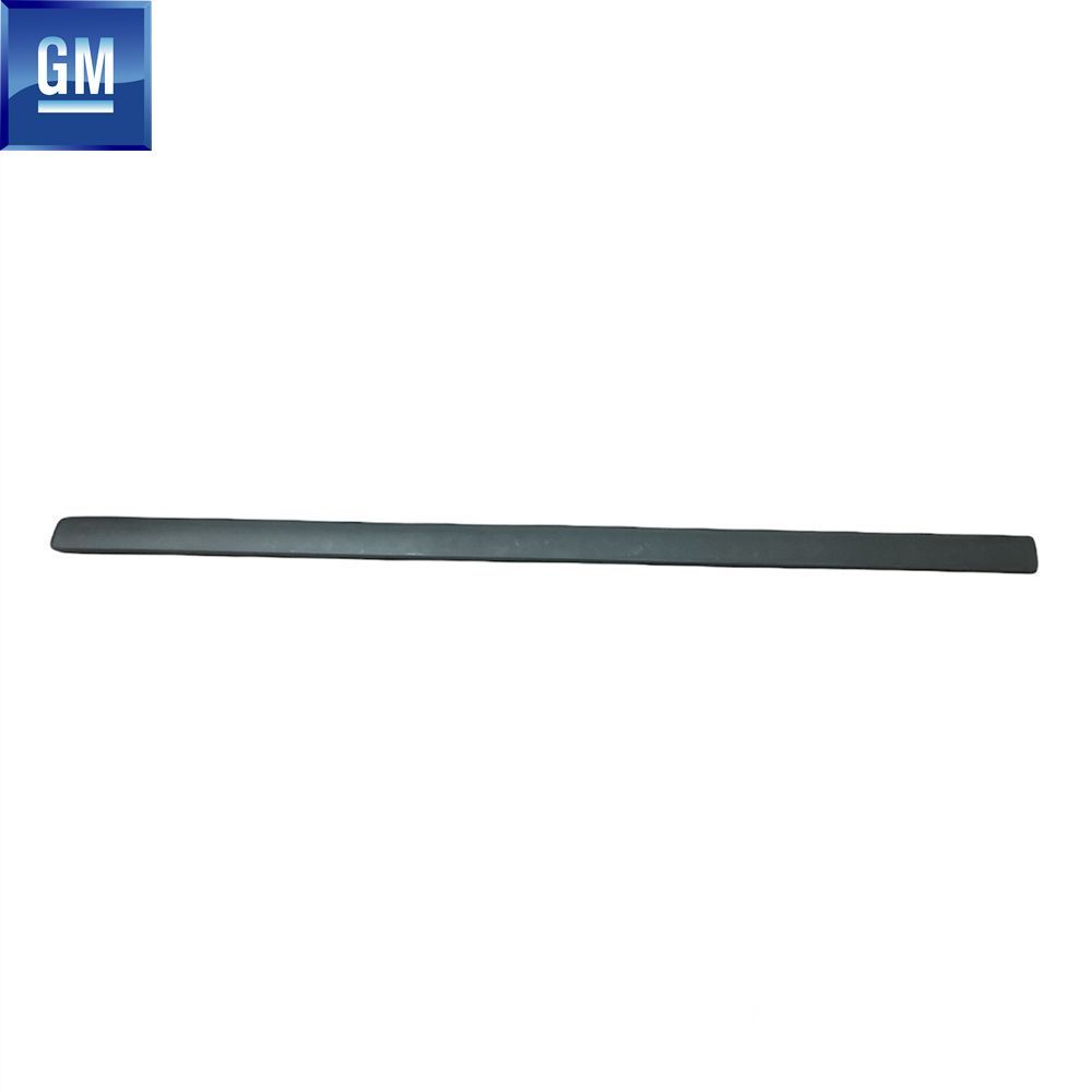 Product Code : 5171176 - Opel Meriva A Right Front Door Moulding GM Genuine 5171176 - 93393615