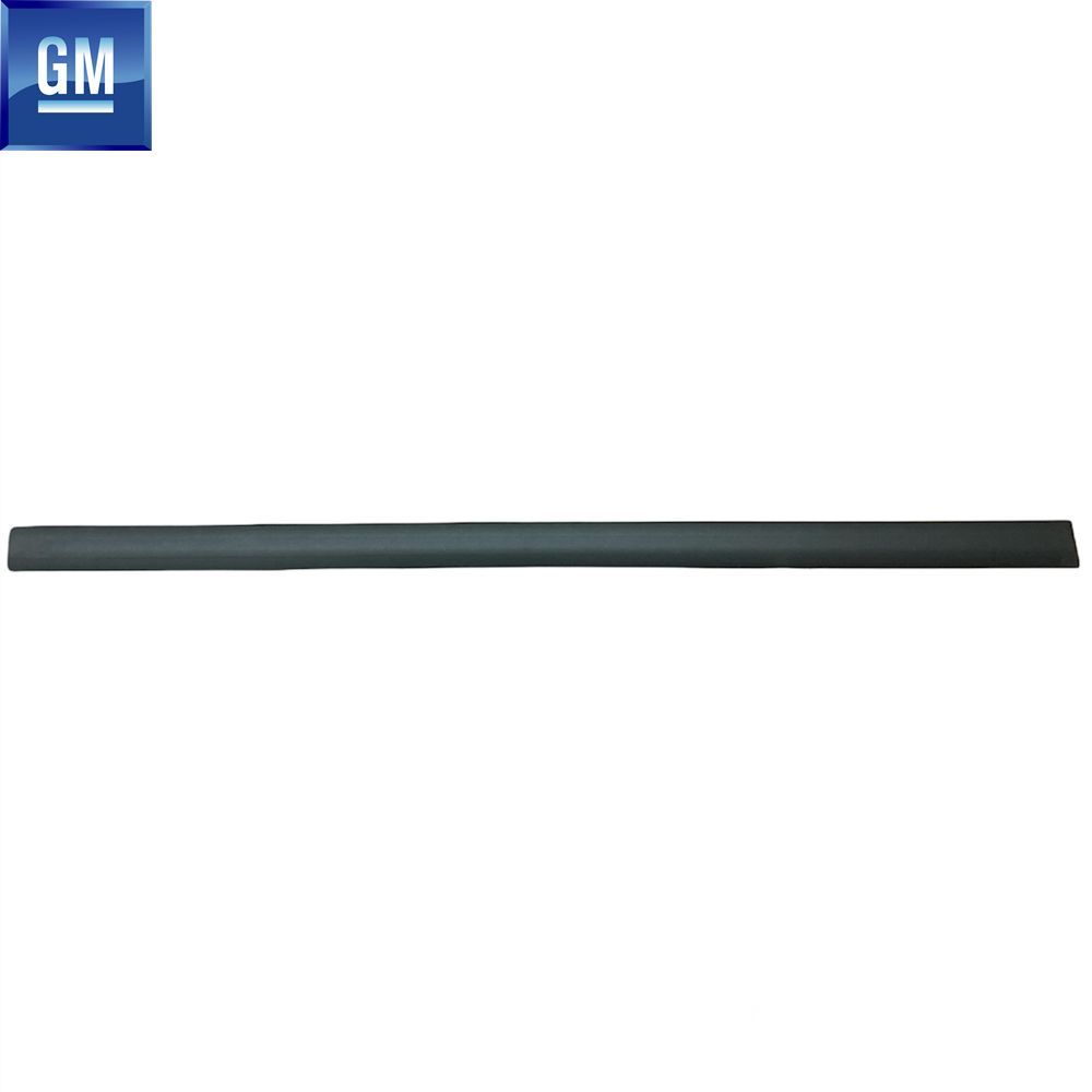 Product Code : 171005 - Opel Vectra A GL Left Front Door Moulding 1993 GM Genuine 171005 - 90429827