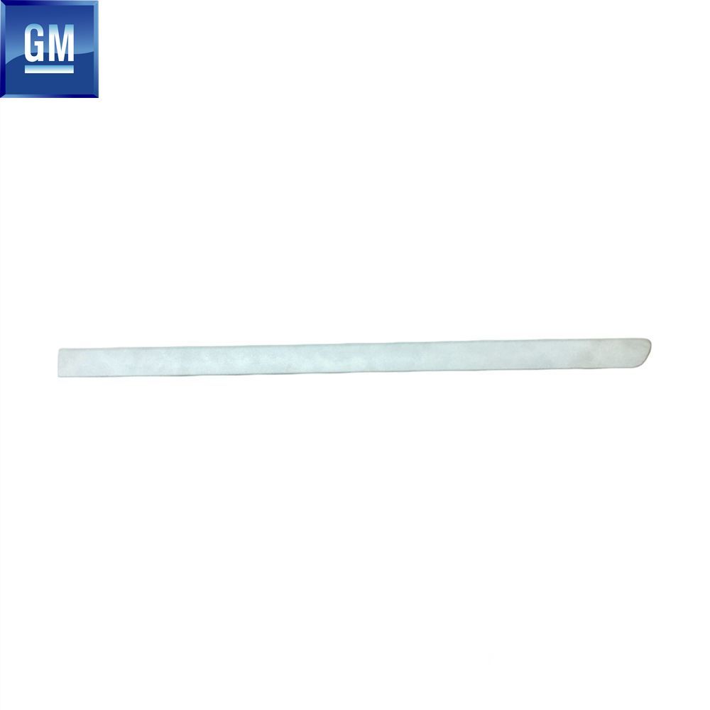 Opel Meriva A Left Rear Door Glazing Bead Lined GM Genuine 5171181 - 13113504