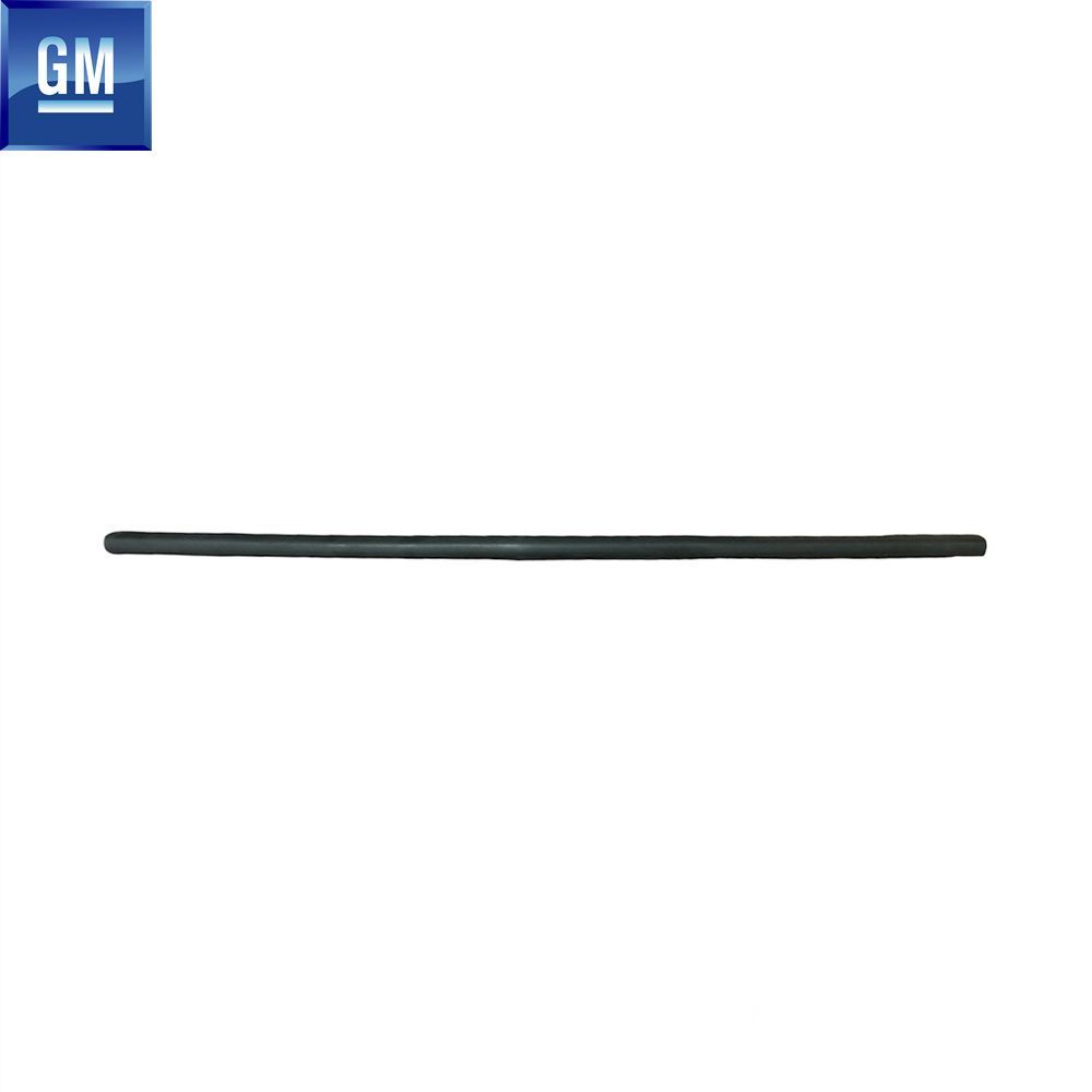 Chevrolet Cruze Left Front Door Window Outer Scraper Wick GM Genuine 95980300 - 96832229