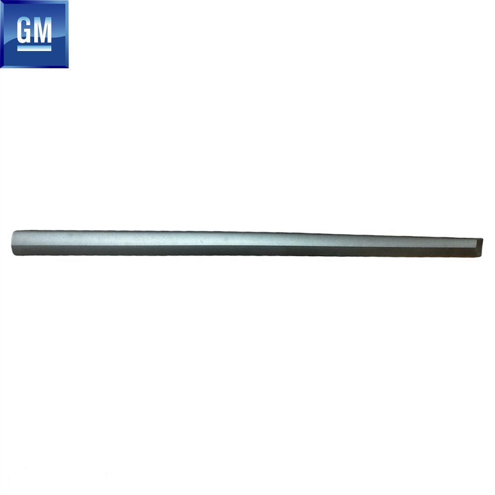 Product Code : 96480146 - Chevrolet Evanda, Epica Right Front Door Moulding GM Genuine 96480146