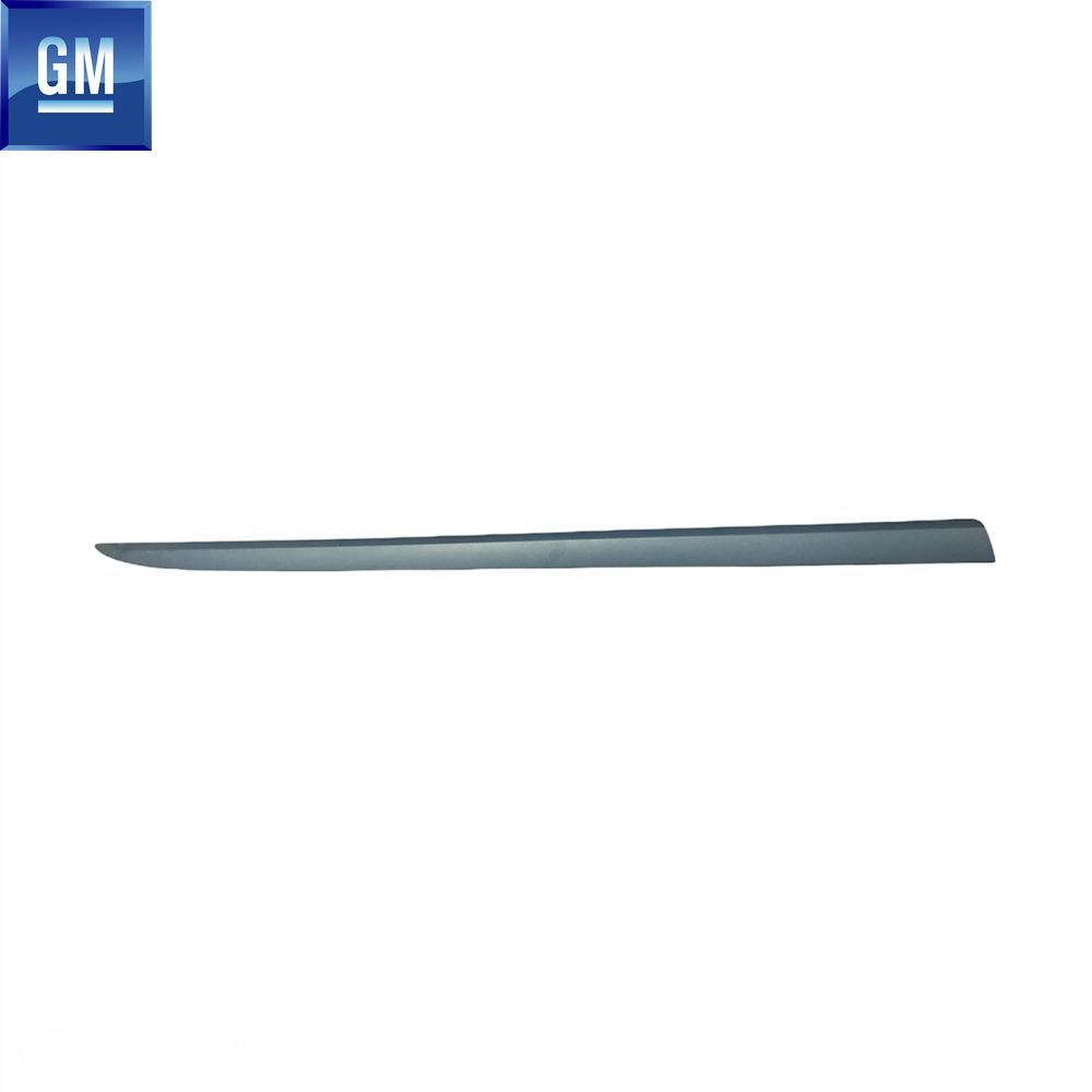 Product Code : 24461109 - Opel Astra H GTC Right Door Moulding lined GM Genuine 24461109 - 5172418