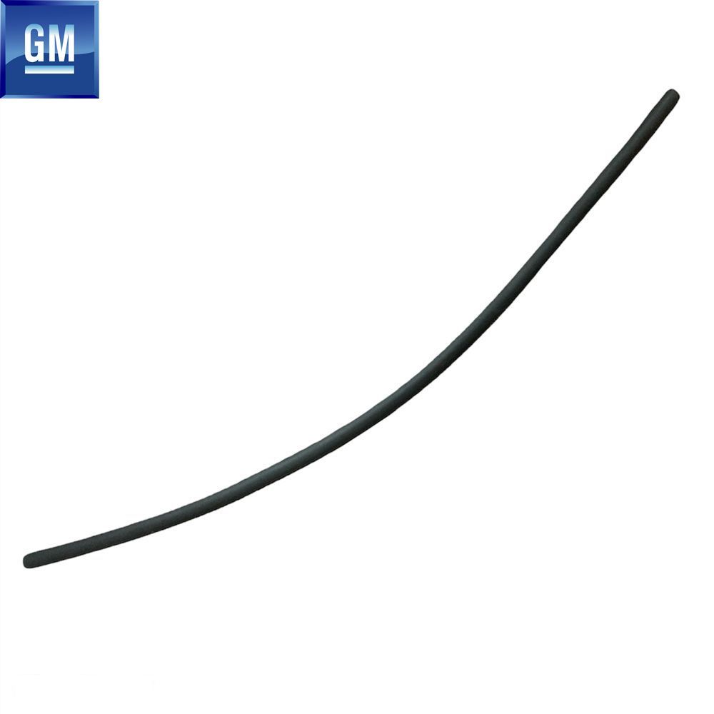 Product Code : 163876 - Opel Astra G Windscreen Top Seal GM Genuine 163876 - 13140578