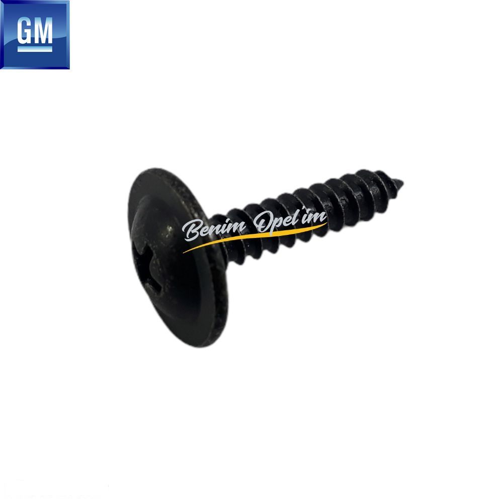 Round Head 4.8 X 22, Special Screw GM Original 1235891 - 90355036