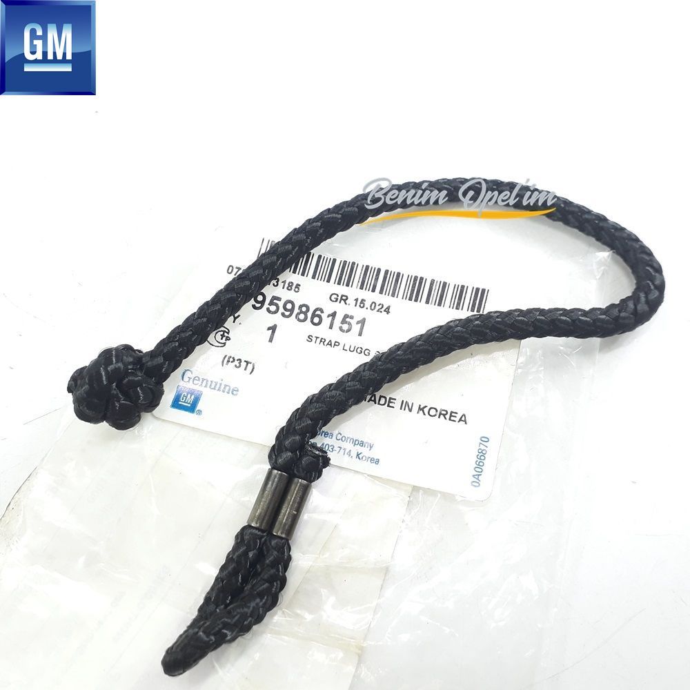 Chevrolet Aveo T300 Rear Trunk Pendulum Lanyard GM Genuine 95986151