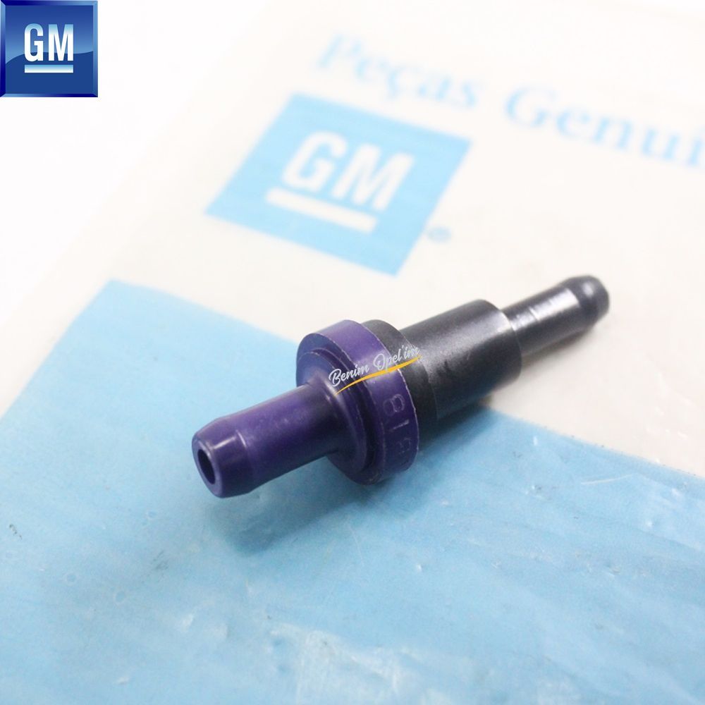 Product Code : 94580183 - Chevrolet Kalos Valve Intake Air 1.2 Soch GM Genuine 94580183