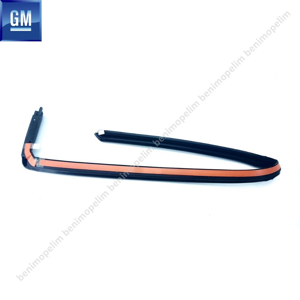 Opel Combo C Right Sliding Door Wick GM Genuine 157272 - 24437695