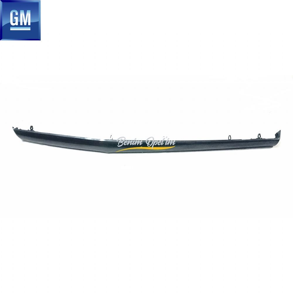 Opel Vectra C, Signum Instrument Panel Right Trim Metallic Silver GM Genuine 7209544 - 13161886 - 13161886