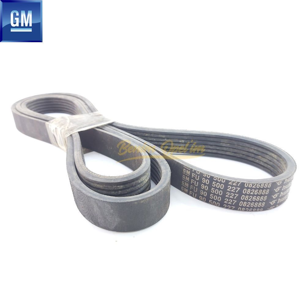 V Belt 1725mm 6PK1715 Opel Astra F, Omega B, Vectra A, Vectra B GM Original 90500227 - 1340648