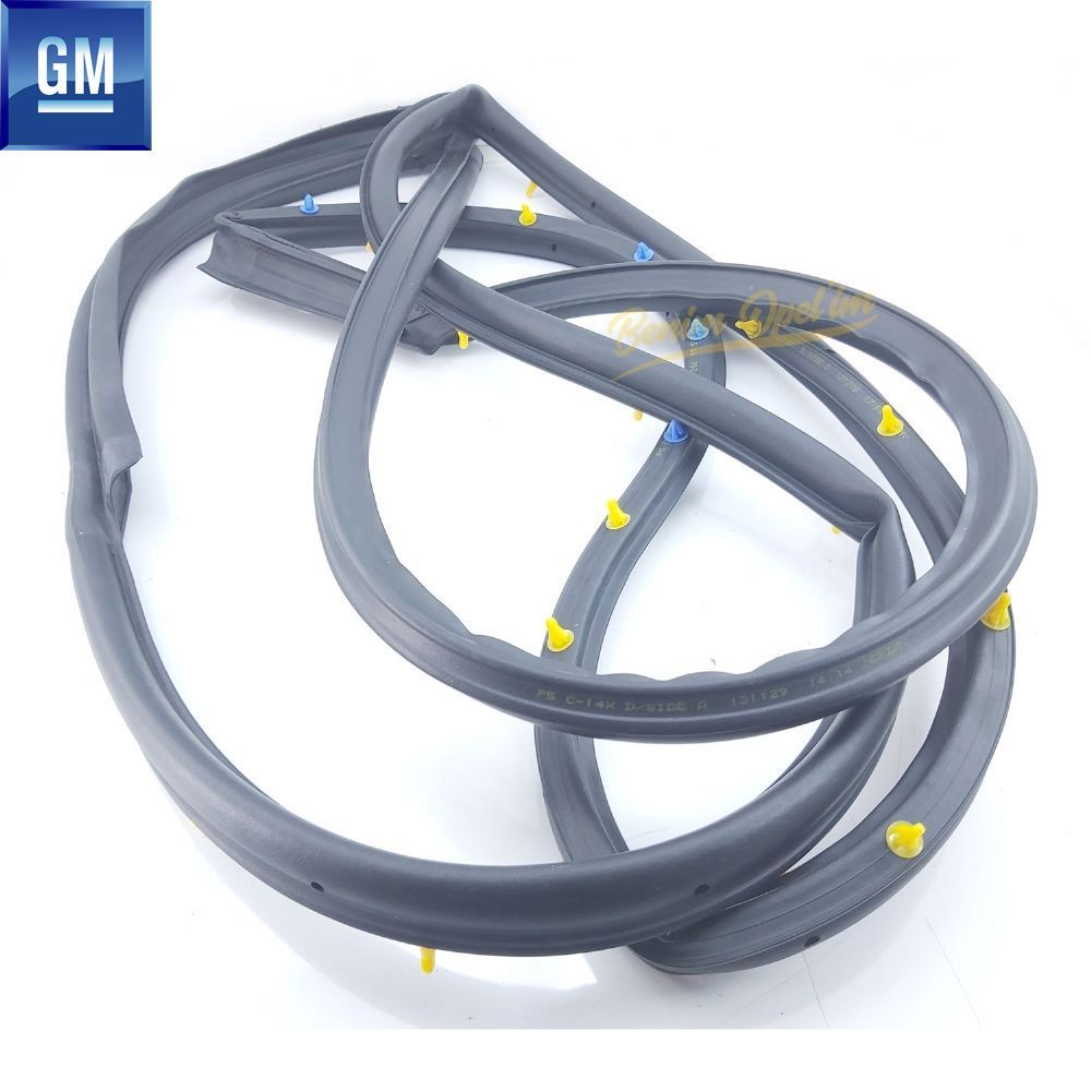 Product Code : 95441614 - Chevrolet Captiva Right Rear Door Frame Seal GM Genuine 95441614