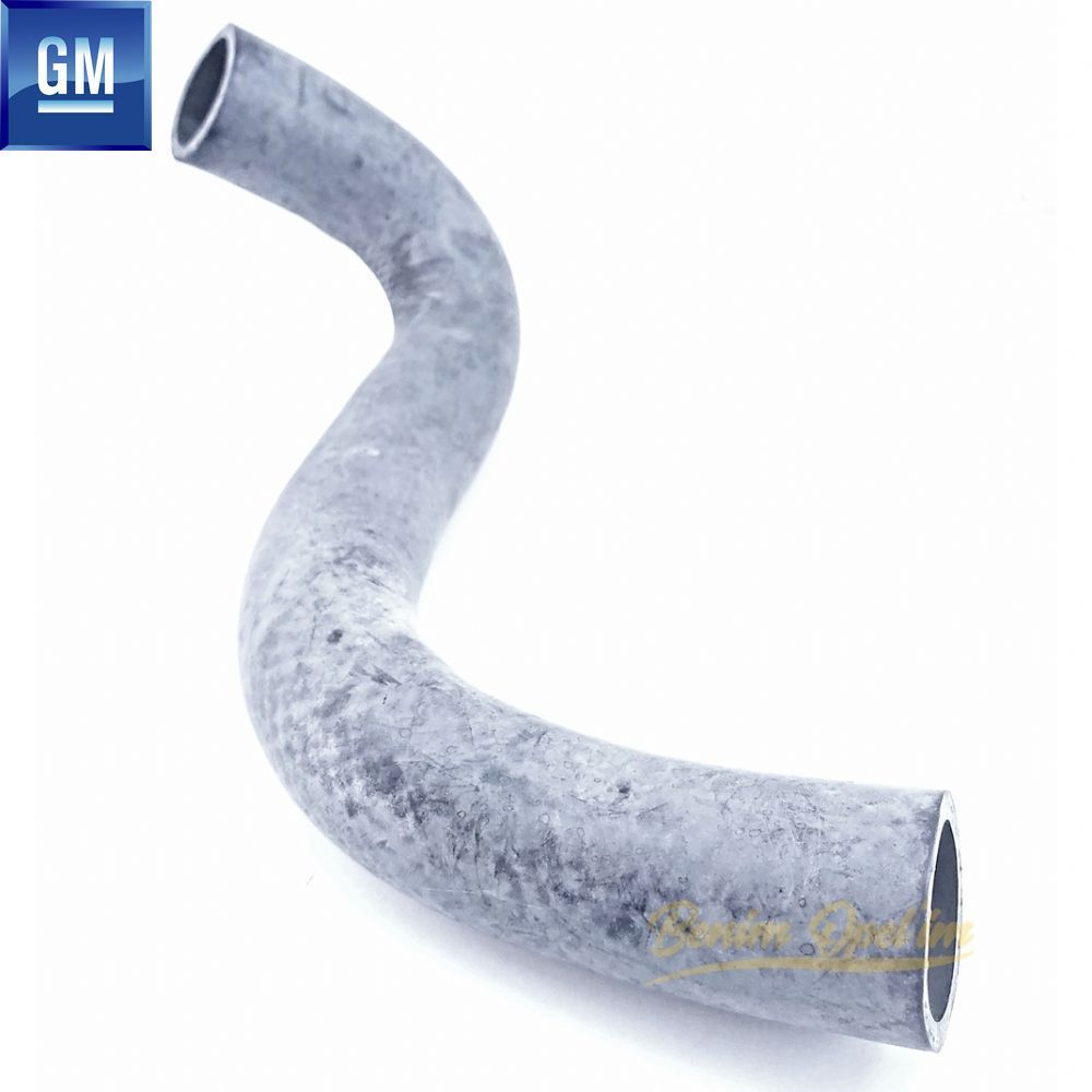 Chevrolet Lacetti Radiator Inlet Hose GM Genuine 96553267