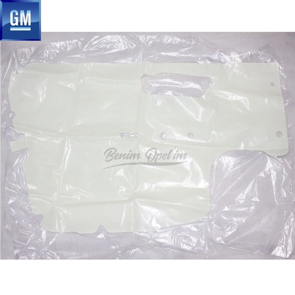 Product Code : 96649631 - Chevrolet Aveo Left Front Door Foil GM Genuine 96649631