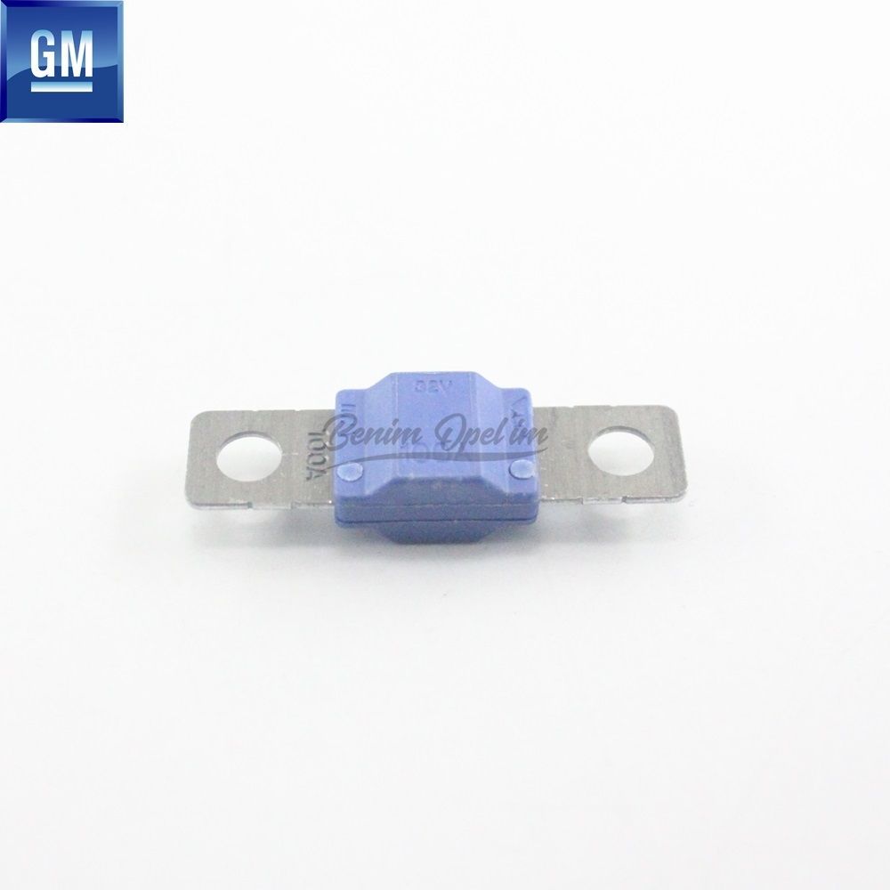 Product Code : 1238680 - Opel Astra J, Zafira C 1X300,4X100 Amp Fuse 100 Amp. GM Original 1238680 - 13315311