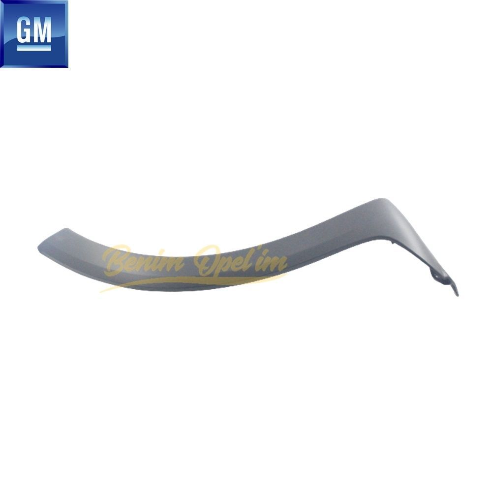 Opel Corsa C Left Rear Fender Mouth Bakelite Smoked (Coating) GM Original 172901 - 13113537