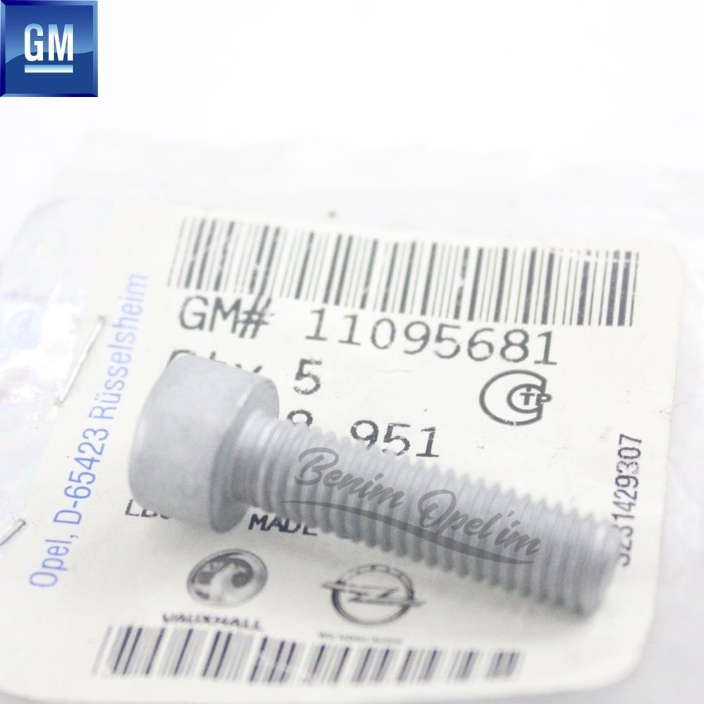 Product Code : 11095681 - Multipurpose Flat Lentil Head Screw M8 X 30 GM Original 11095681 - 2098951