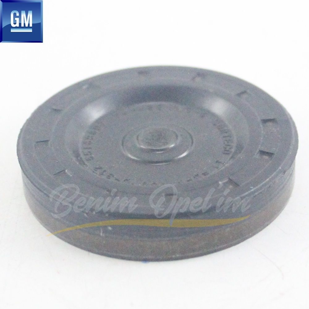 Camshaft Housing Plug 1.9/2.0 Opel Astra H, Astra J, Insignia A, Vectra C, Zafira B, Zafira C GM Genuine 93178484 - 5607971