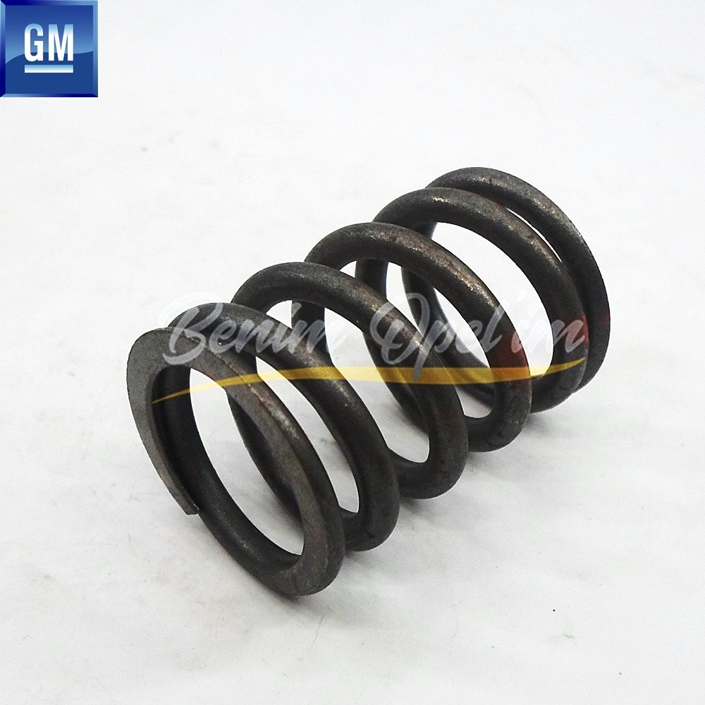 Product Code : 642236 - Exhaust And Intake Valve Spring 1.2/1.3/1.4/1.6 Chevrolet Aveo, Kalos T200, Opel Astra G, Zafira A, Corsa B, Combo B, Tigra A, Vectra A B GM Genuine 642236 - 90180310