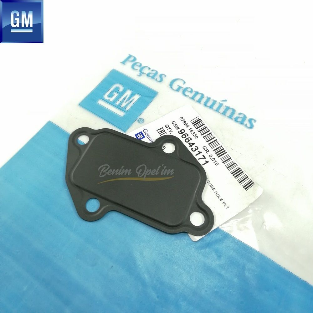 Chevrolet Aveo, Kalos, Spark Engine Block Core Hole Sheet Metal Gasket GM Genuine 96643171