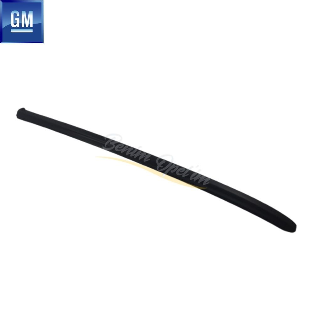 Product Code : 24423575 - Opel Vectra B Left Front Window Side Trim GM Genuine 24423575 - 163869