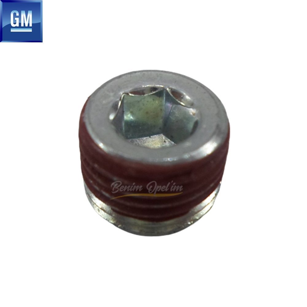 Product Code : 9006624 - Chevrolet Aveo T300, Lacetti Cylinder Head Blind Plug GM Genuine 9006624 - 11095512