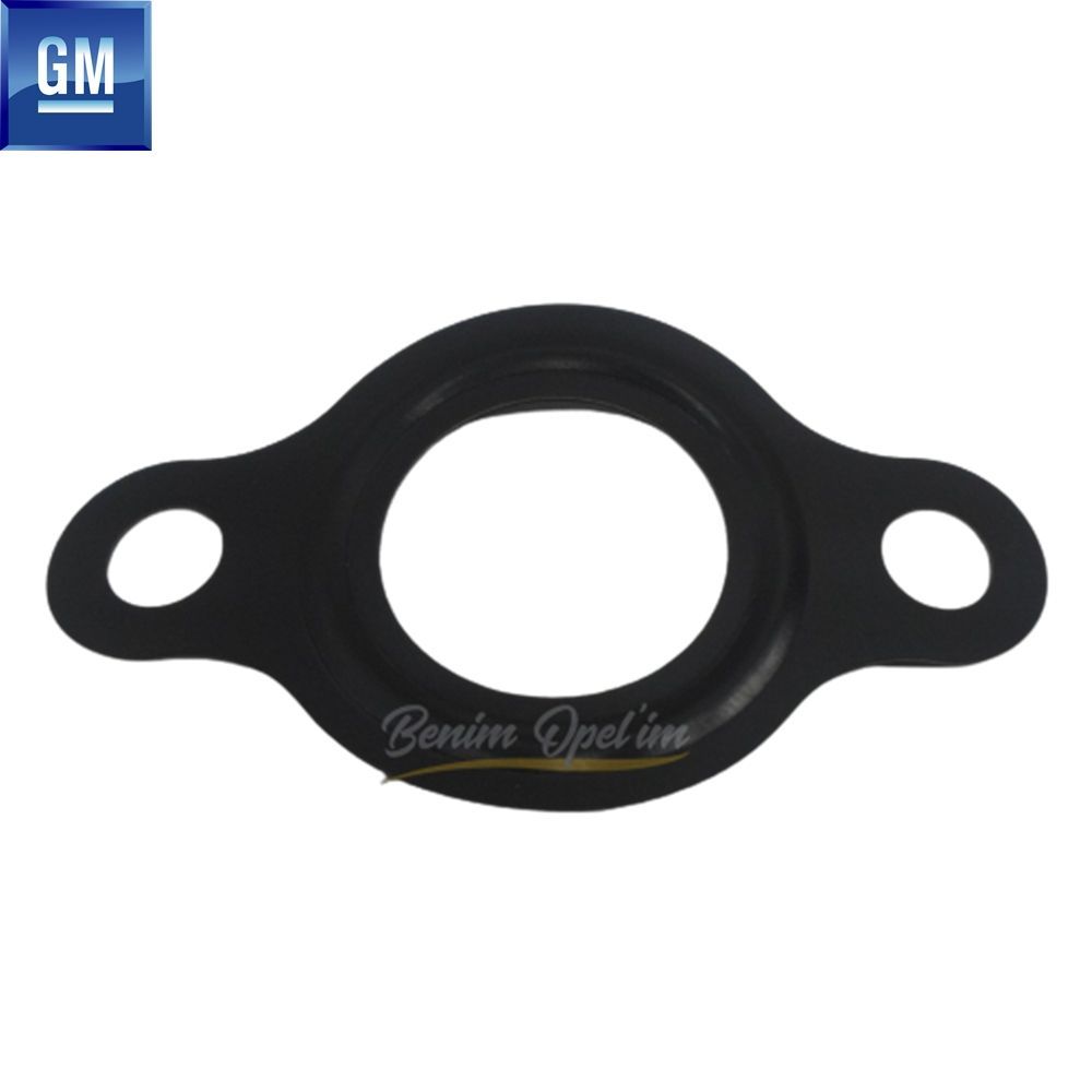 Fuel Pressure Spray Sensor Gasket 1.3 Opel Corsa C, Combo C, Meriva A, Tigra B GM Genuine 6235916 - 93182232