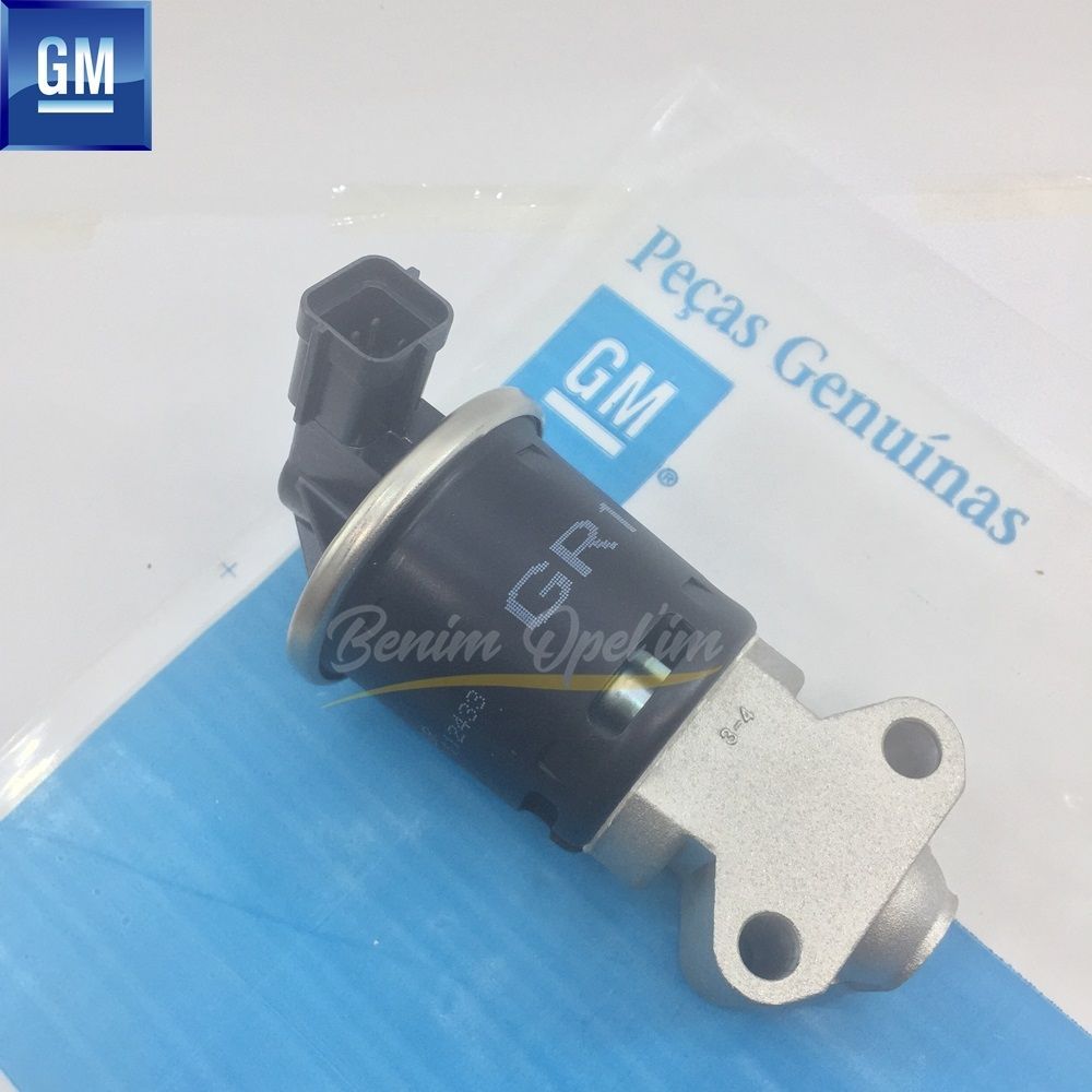 Product Code : 96612359 - Chevrolet Matiz M100, Spark M100 Exhaust Back Feed Valve 1.2 Sohc GM Genuine 96612359