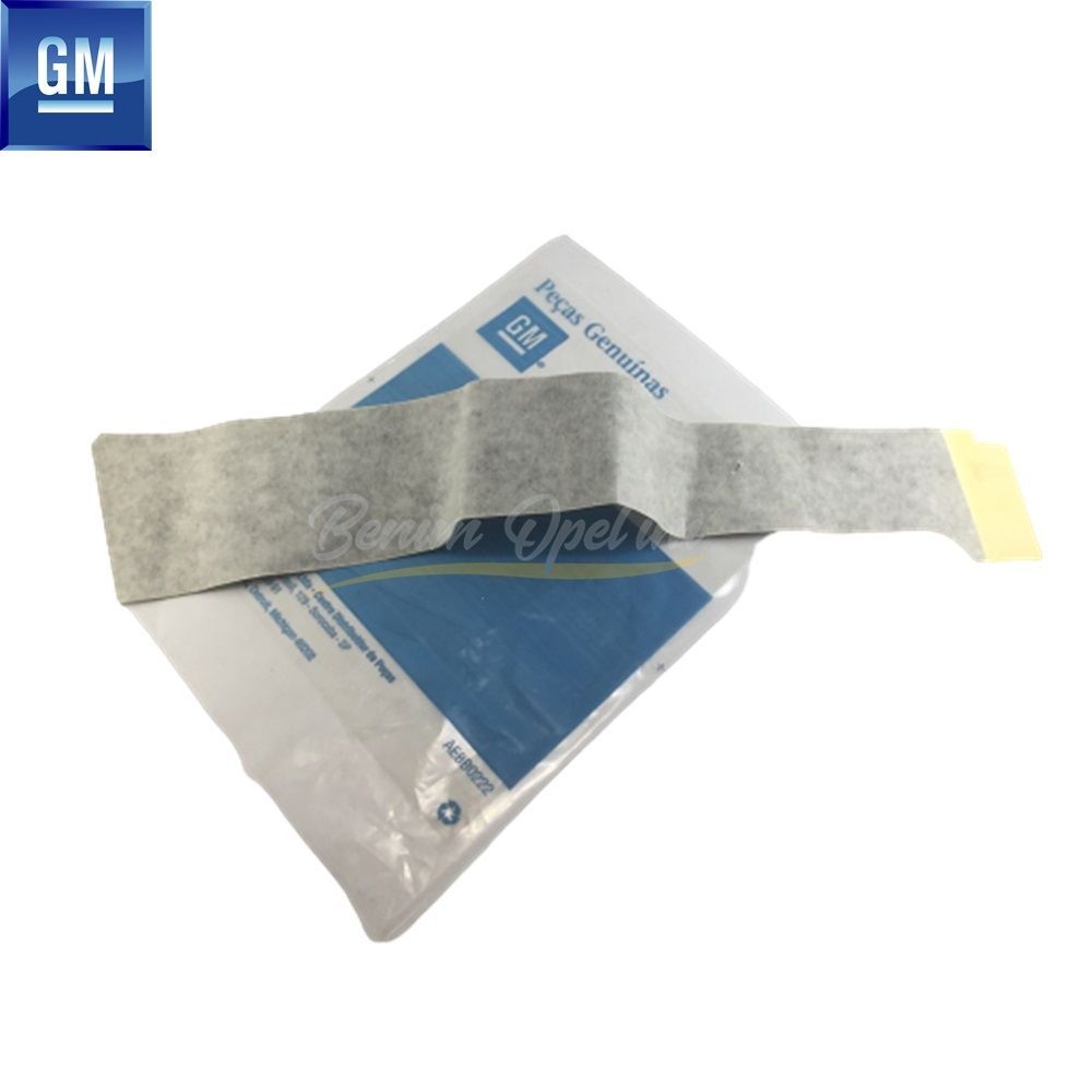 Chevrolet Aveo T200/T250/T55, Kalos T200 Left Rear Door Front Foil (Door Band) GM Genuine 96349122