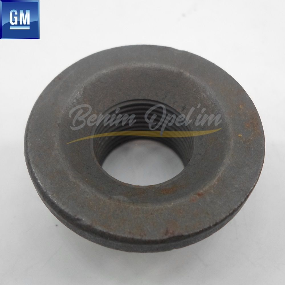 Rear Porch Hex Nut M20 Opel Corsa C, Combo C, Tigra B GM Genuine 418906 - 9156693