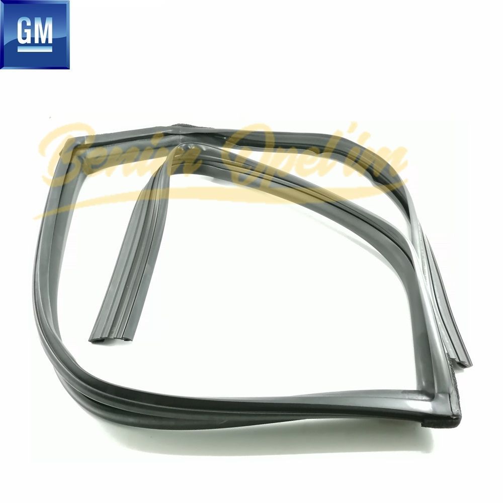 Chevrolet Captiva (C100-C140), Opel Antara Left Rear Door Window Seal GM Original 95061133 - 4820347