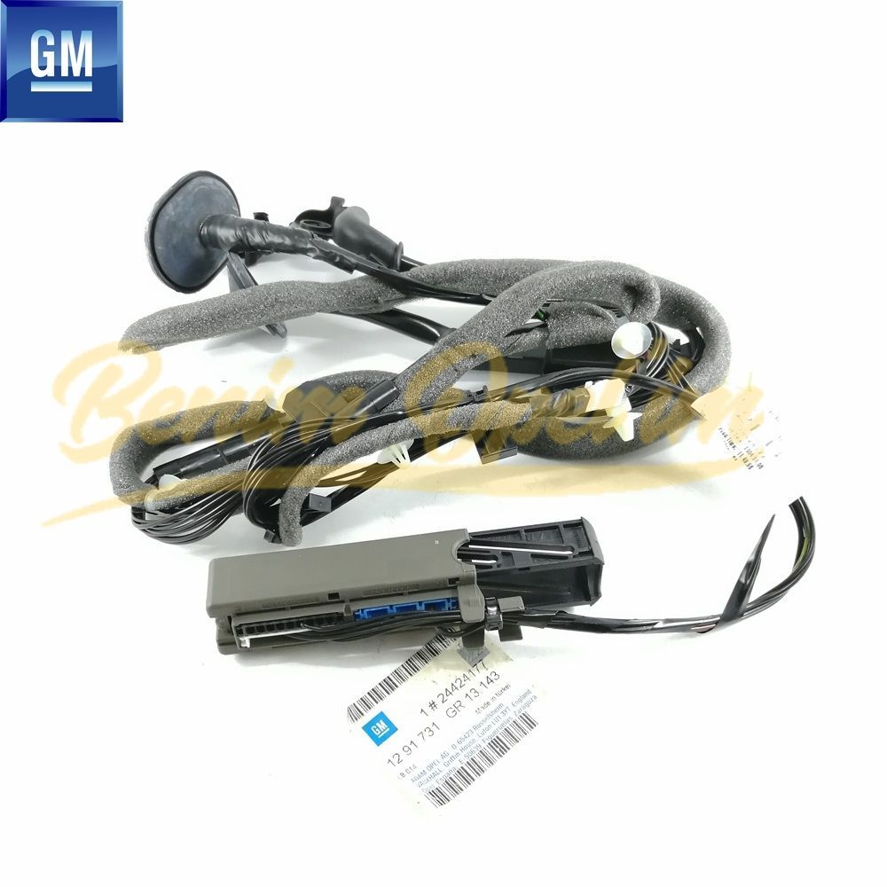 Product Code : 1291731 - Opel Vectra C Complete Rear Tailgate Alarm Wiring Harness GM Genuine 1291731 - 24424177