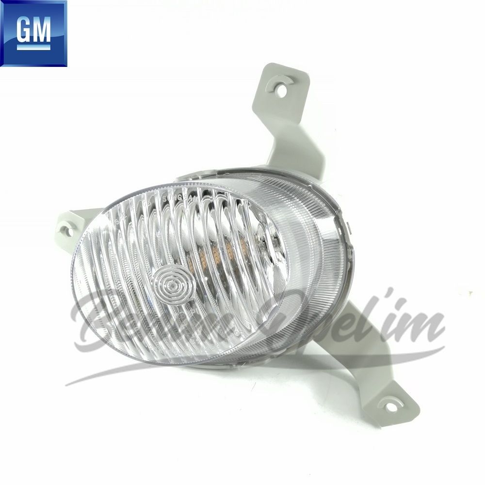 Chevrolet Aveo Sedan Complete Left Front Fog Lamp GM Original 96650835