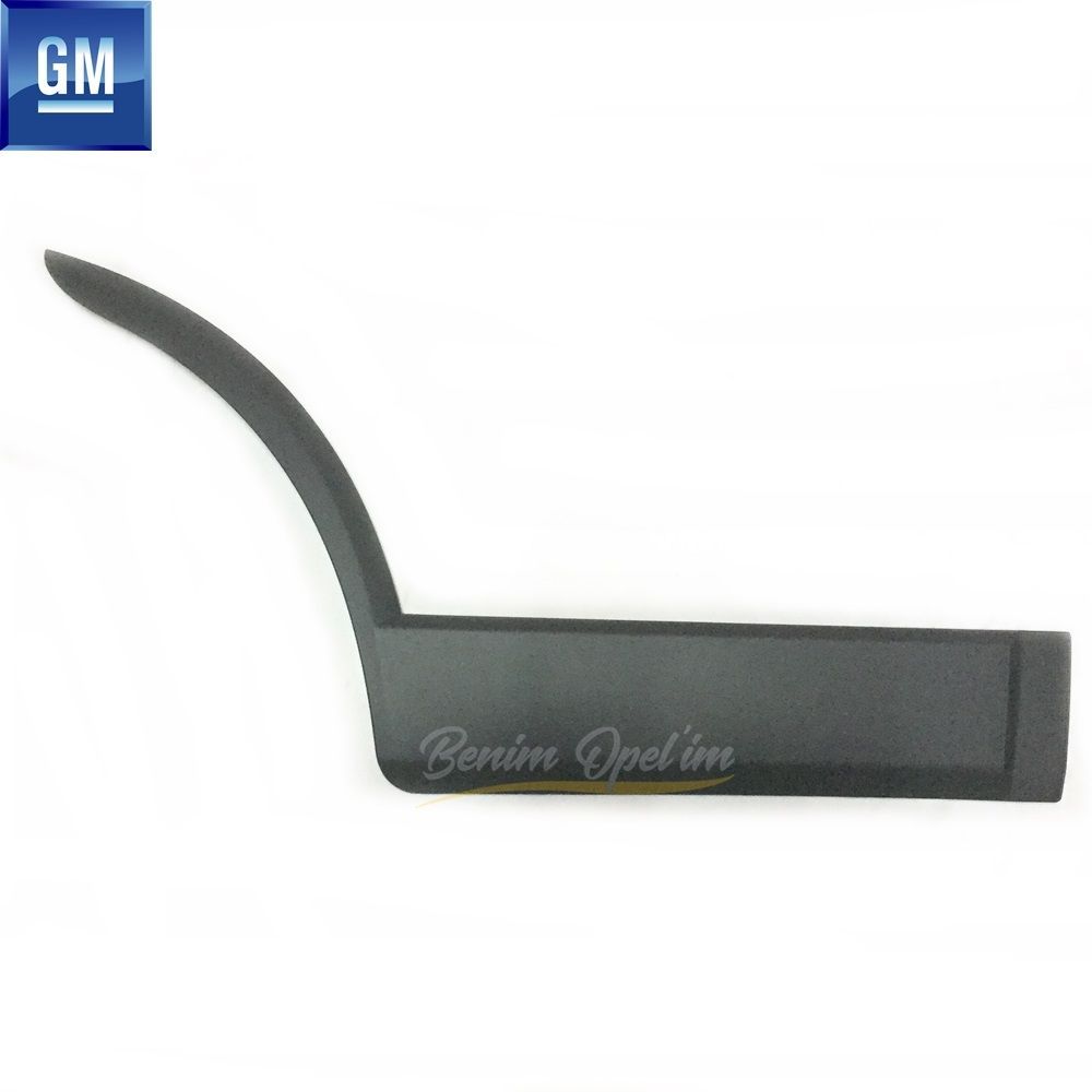 Chevrolet Captiva C100, Captiva C140 Right Rear Door Mouth Bakelite GM Genuine 96439710