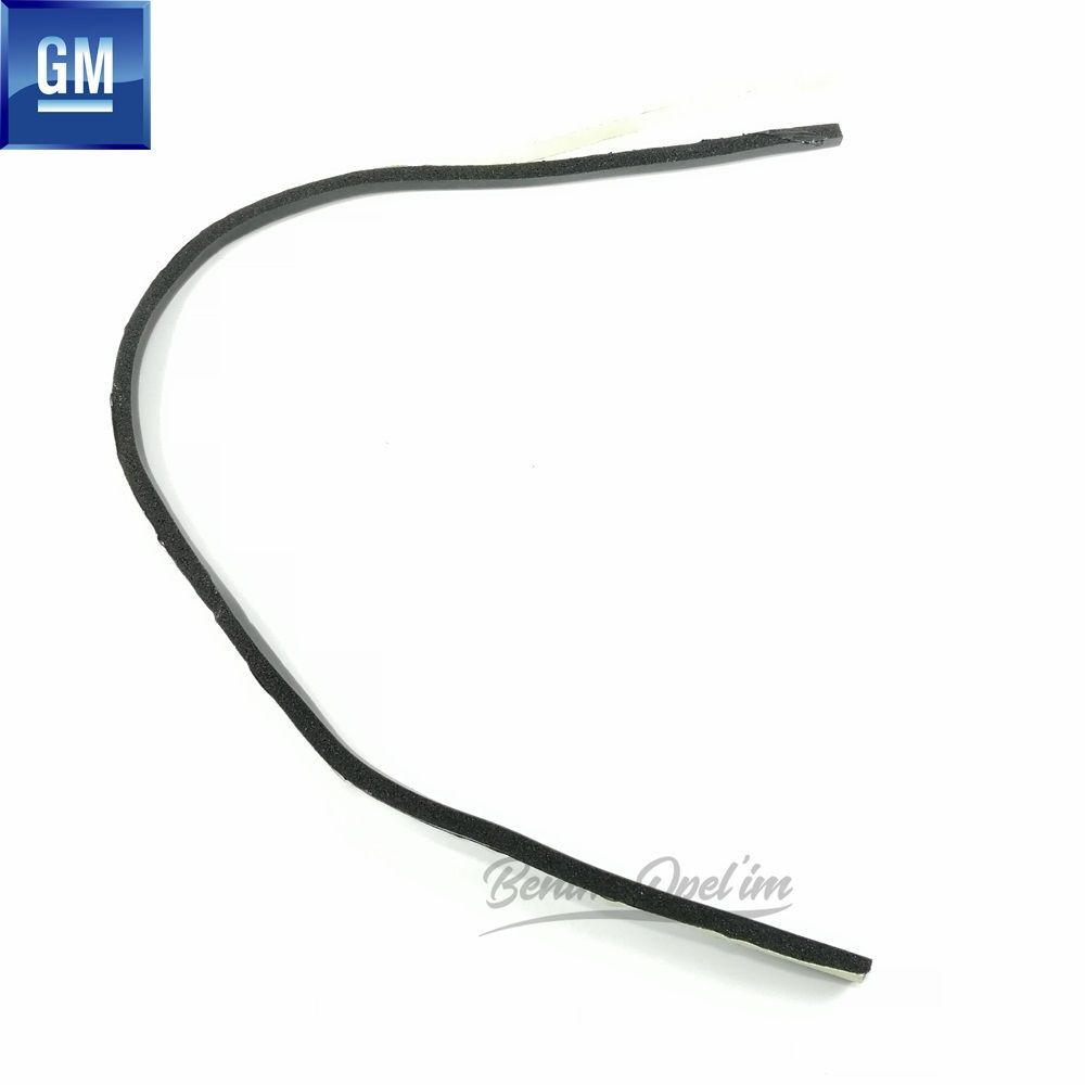 Chevrolet Rezzo U100 Rear Tailgate Window Side Seal GM Genuine 96460032