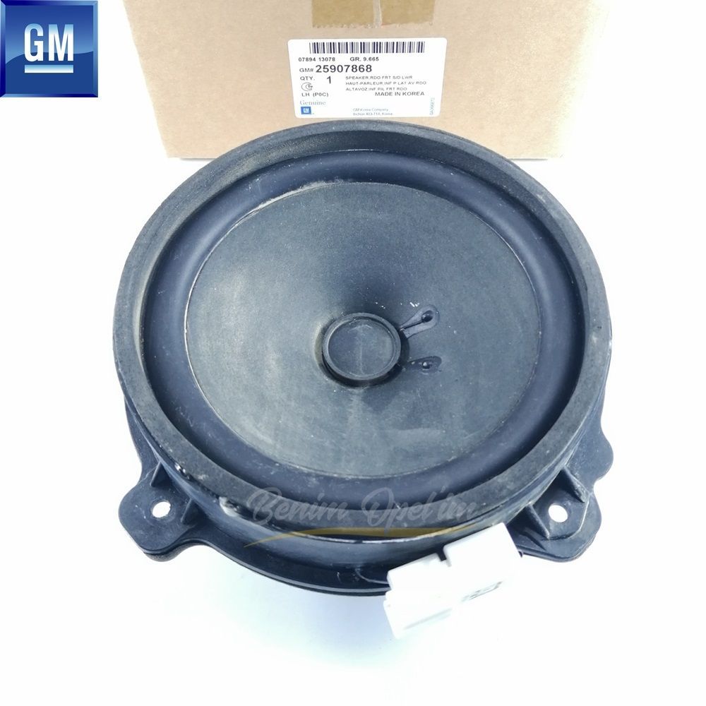 Chevrolet Captiva C100 Left Front And Rear Compatible Door Bottom Speaker (158984) GM Original 25907868 - 96673538