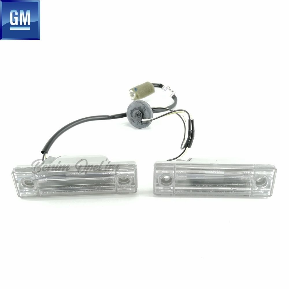 Chevrolet Captiva C100, Opel Antara Dual Rear Number Plate Lighting Lamp Kit 12V/5W GM Original 96627068 - 4807933