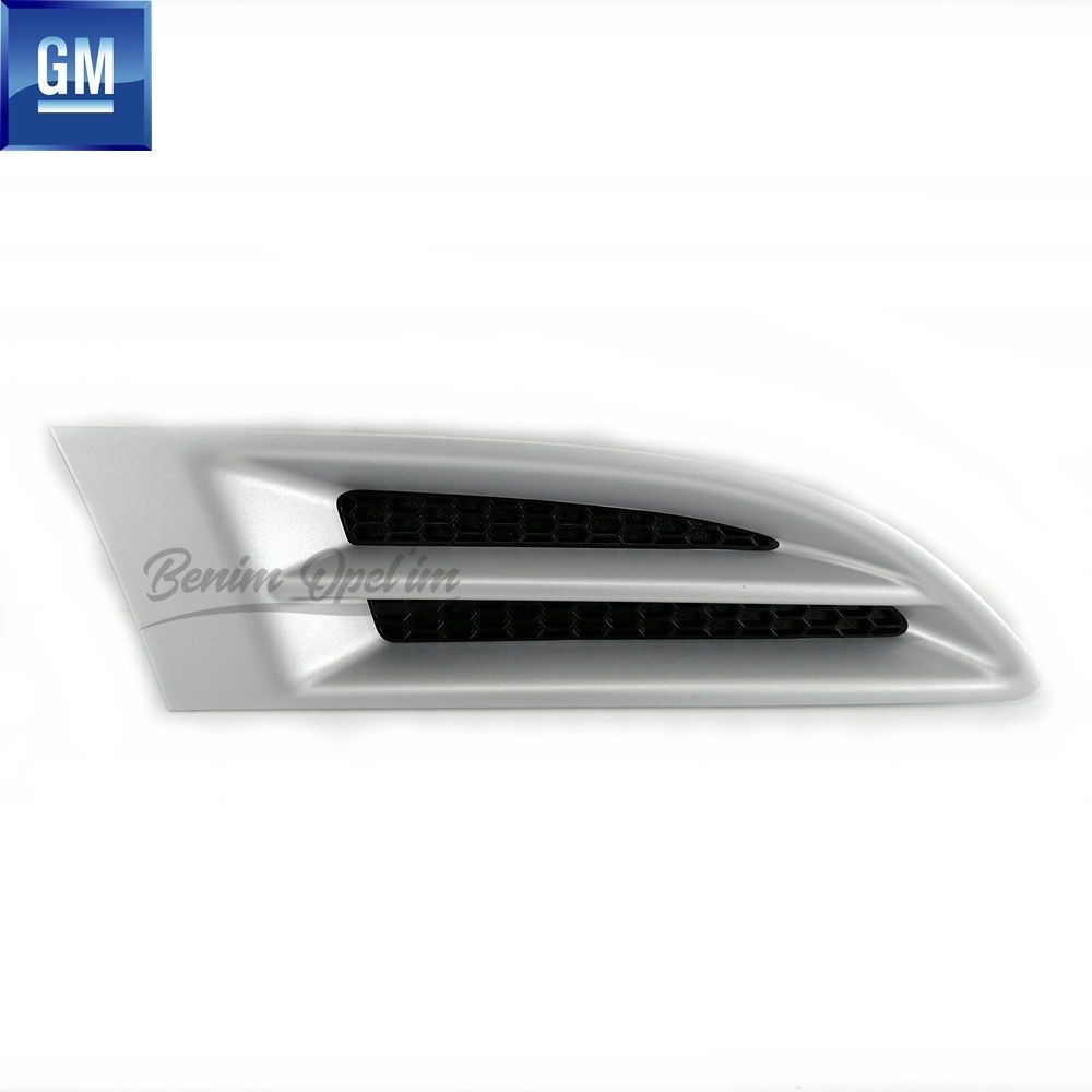 Product Code : 96894154 - Chevrolet Aveo HB (T250, T255) Right Front Fender Grille Grey GM Genuine 96894154