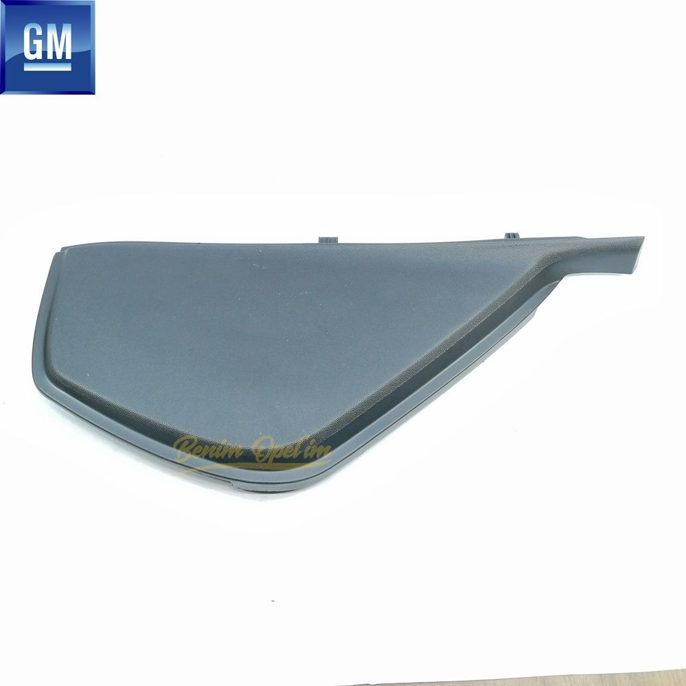 Opel Vectra C, Signum Right Exterior Torpedo Cover Smoked GM Genuine 7208158 - 24441420