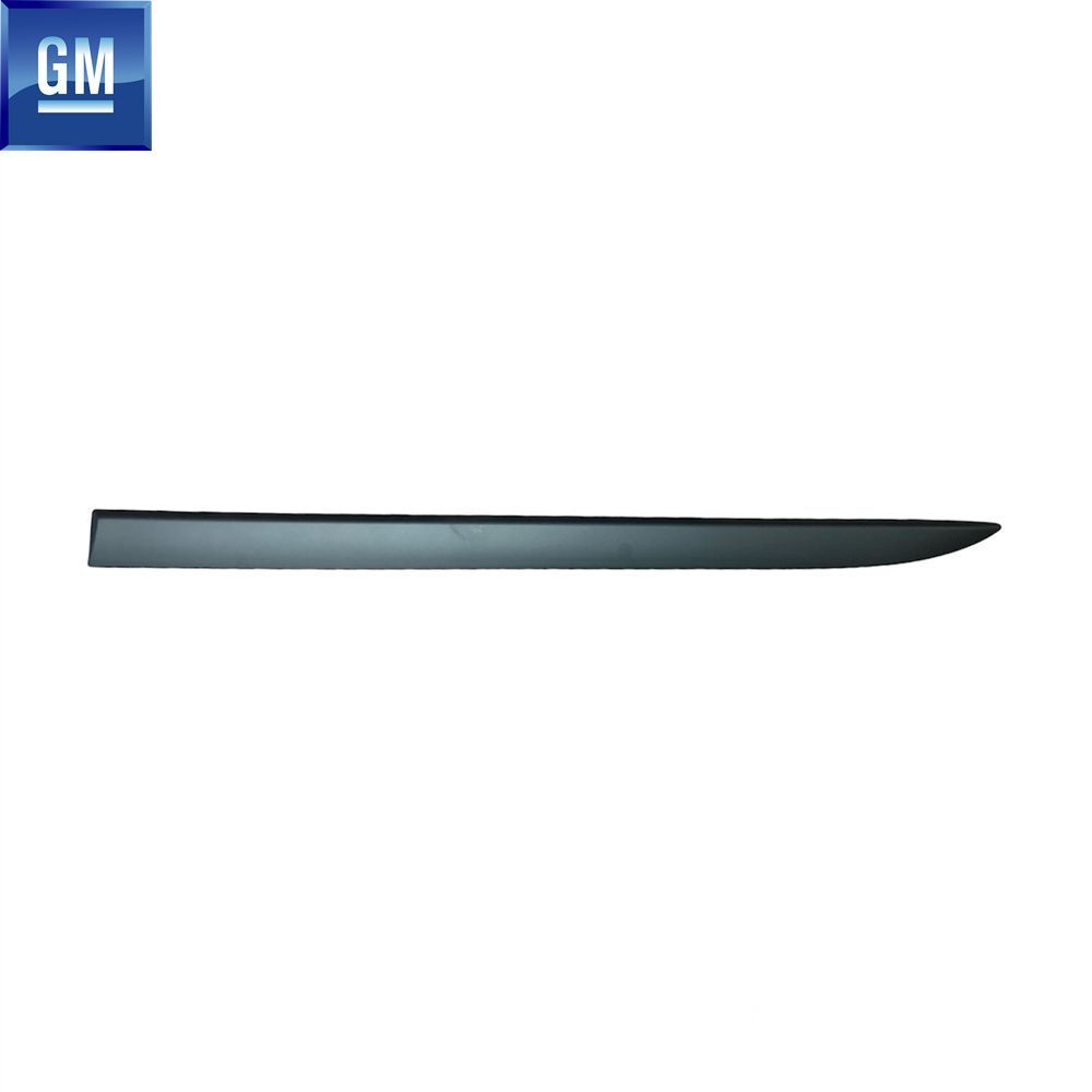 Product Code : 5172450 - Opel Corsa D Left Front Door Band (Lath) Smoked GM Genuine 5172450 - 13243578