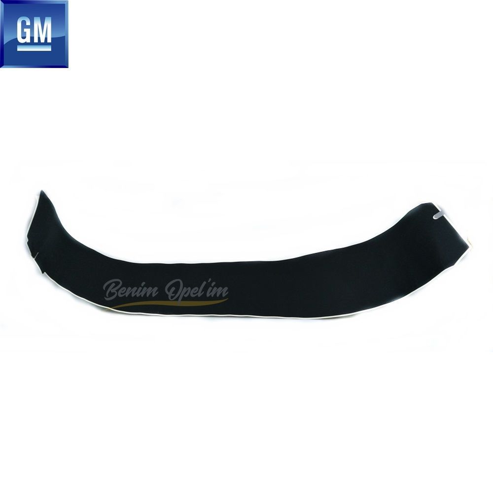 Opel Zafira A Left Front Door Rear Pillar Band (Behind the Front) GM Genuine 2160507 - 2160413