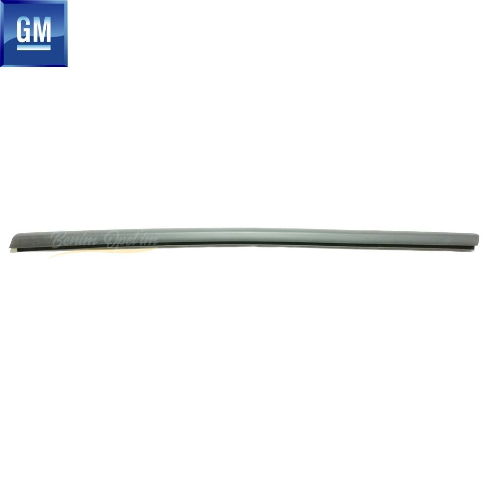 Opel Astra K Left Rear Door Window Outer Scraper Wick smoked GM Original 39042816 - 39023045