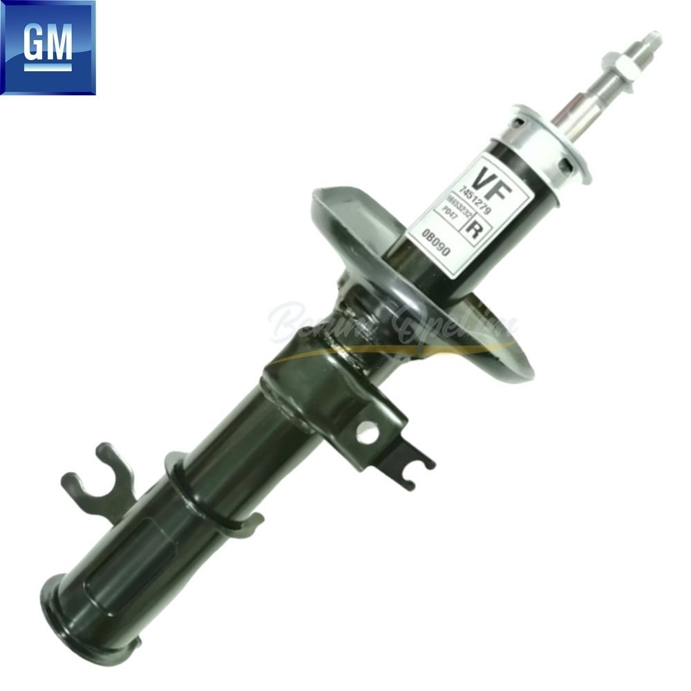 Chevrolet Aveo T200/T250/255 Kalos Complete Absless Oiled Right Front Shock Absorber 1.2/1.4 (Vf) GM Genuine 96653232